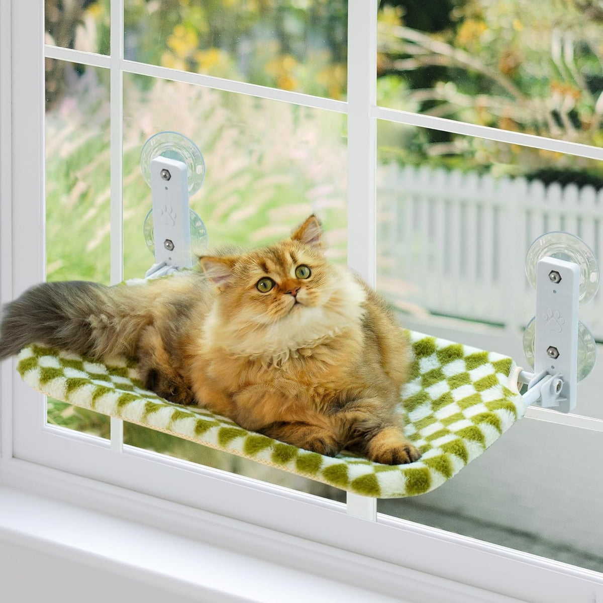 Chat Hammock Pet Chat Nest Balcon Verre