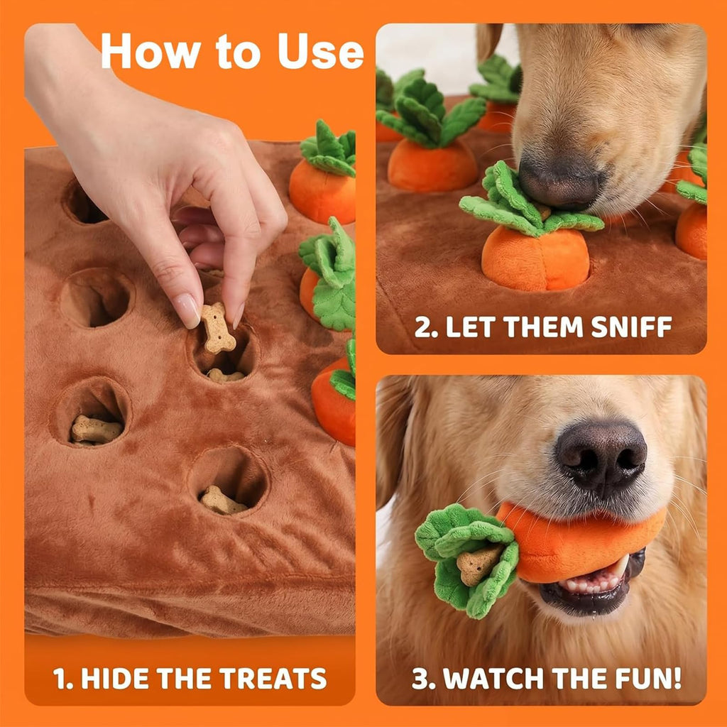 Jouet pour chien de carottes