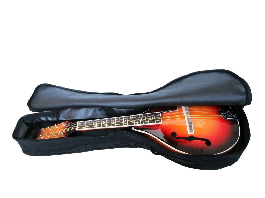 Sac Mandolin unique Sac Mandolin type A