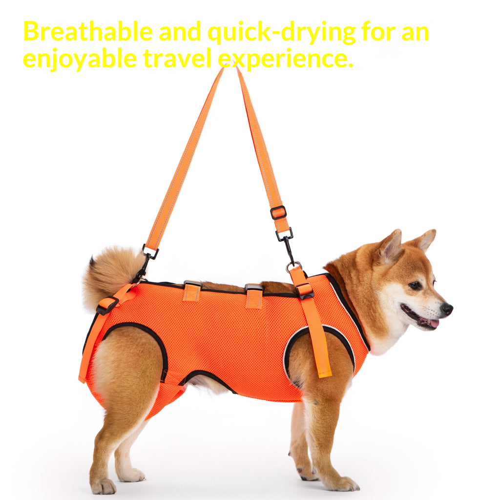 Clothing for senior dogs