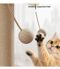 Chip anti-rayure Chip suspension Ball Kitty Toy