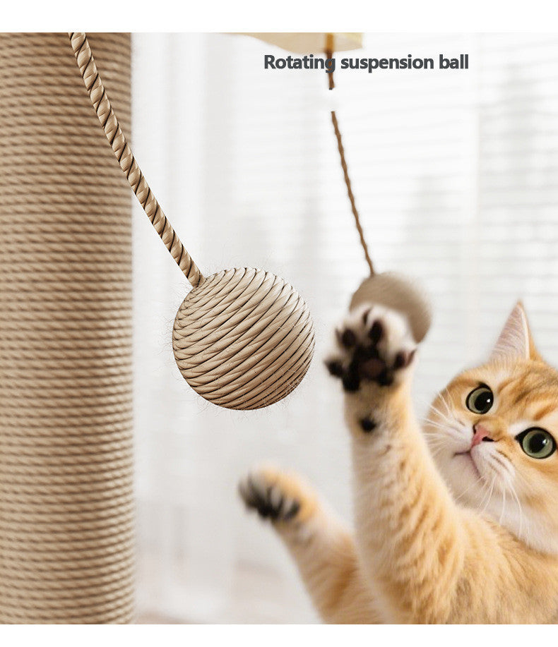 Chip anti-rayure Chip suspension Ball Kitty Toy