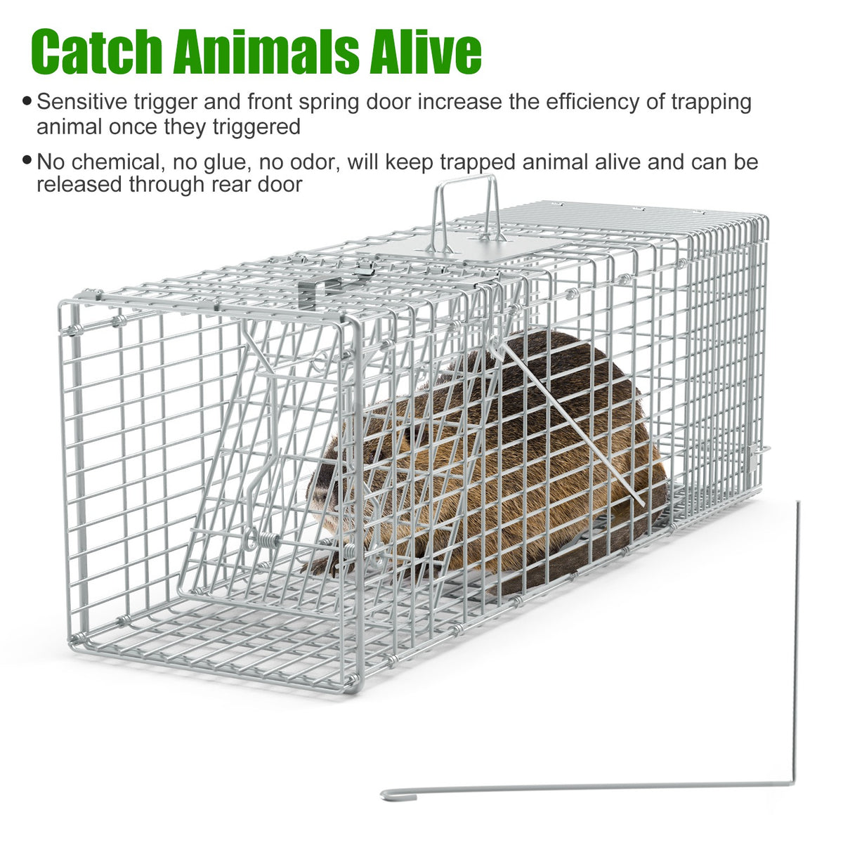 1Pc Cage de piège de chat humain avec des gants Catch Release Live Animal Rodent Cage Gal collapsible