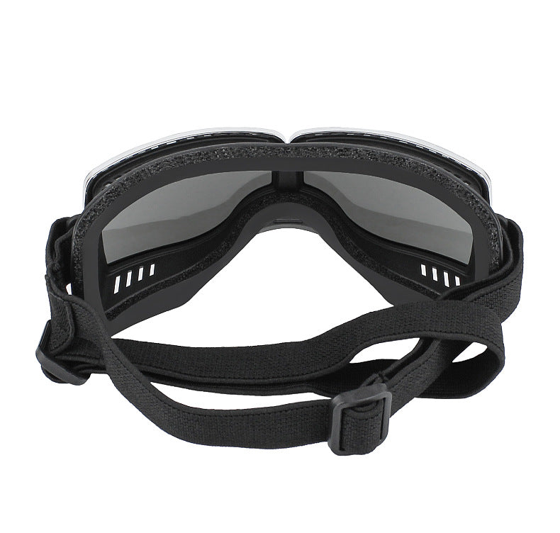 Accessoires pour animaux de compagnie anti-vent