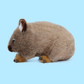 Jouet de poupée en peluche sauvage