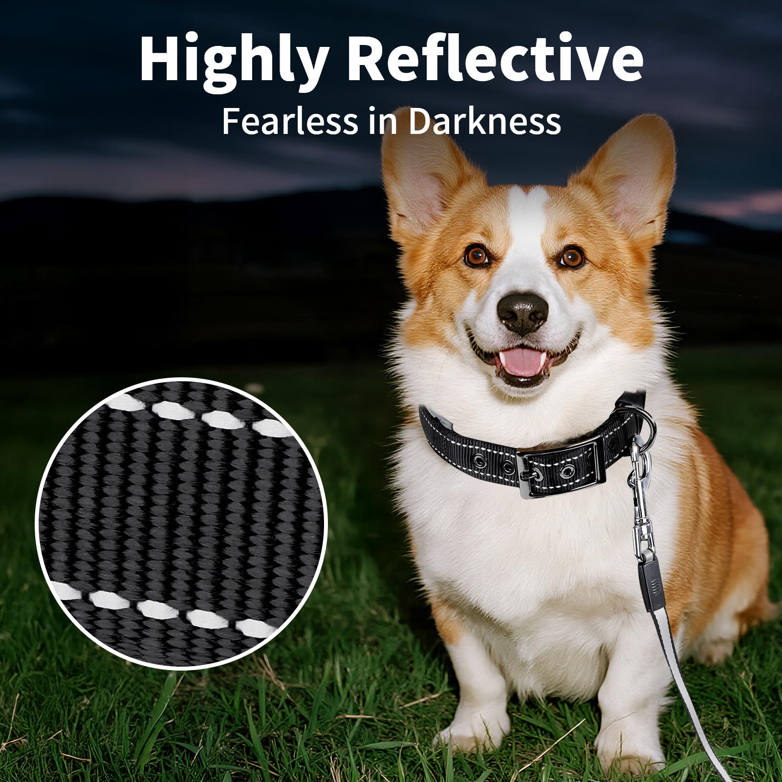 Collier réfléchissant pour chiens moyens