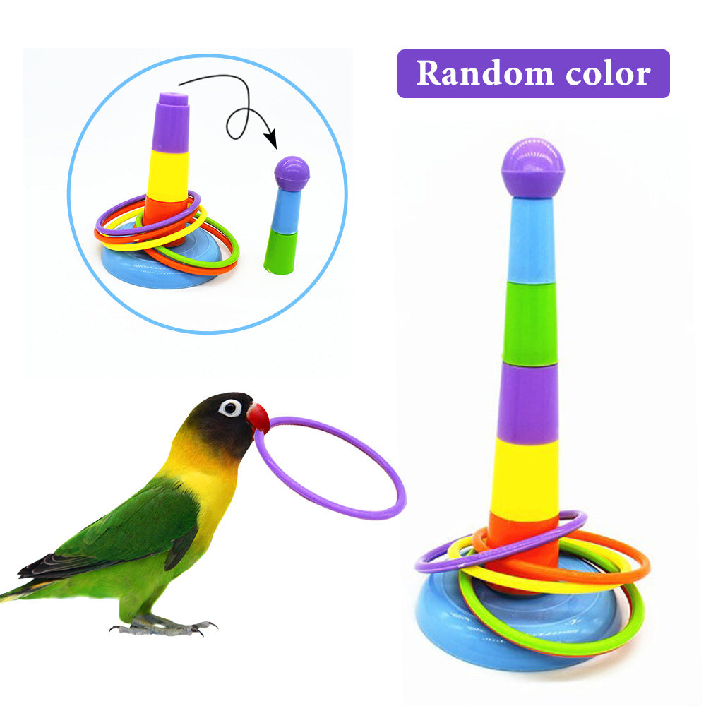 Jouet d'oiseau pour perroquet