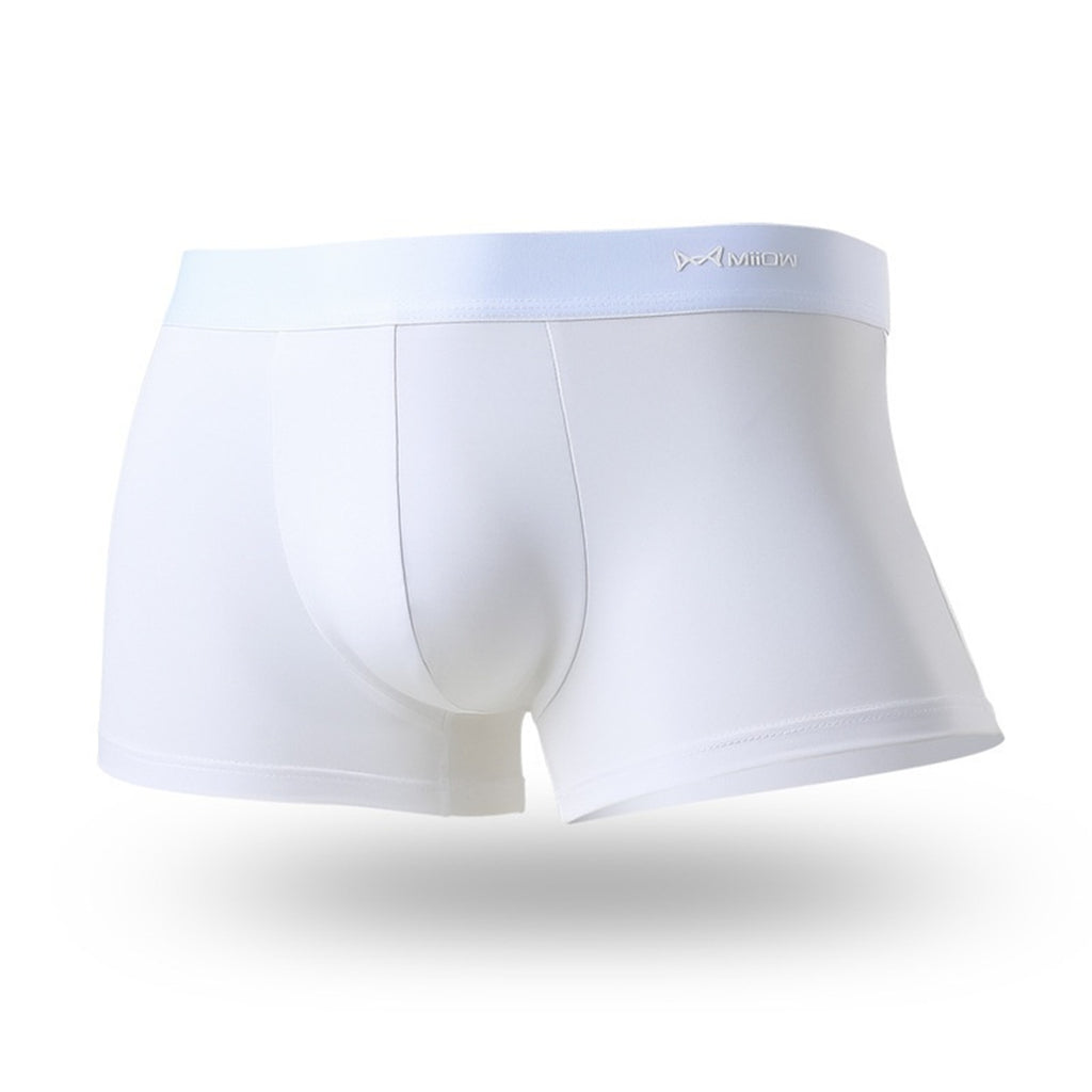 Boxer en soie pour hommes