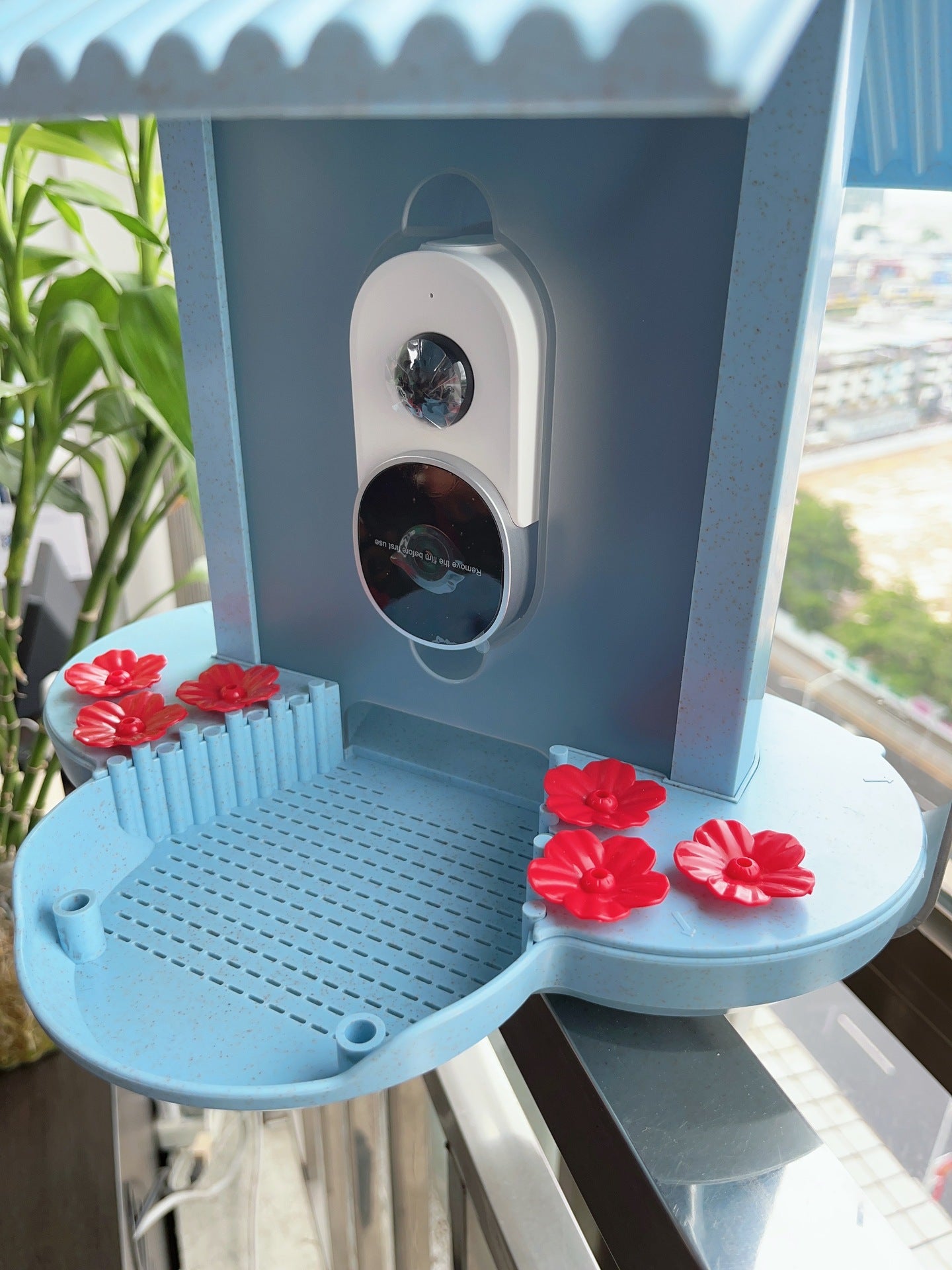 Alimentation intelligente 160 degrés large angle AI identifier les oiseaux