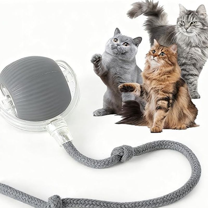 Chat Interactive Ball Toys Automatic Rolling Ball pour Kitten Smart Pet Electri rechargeable
