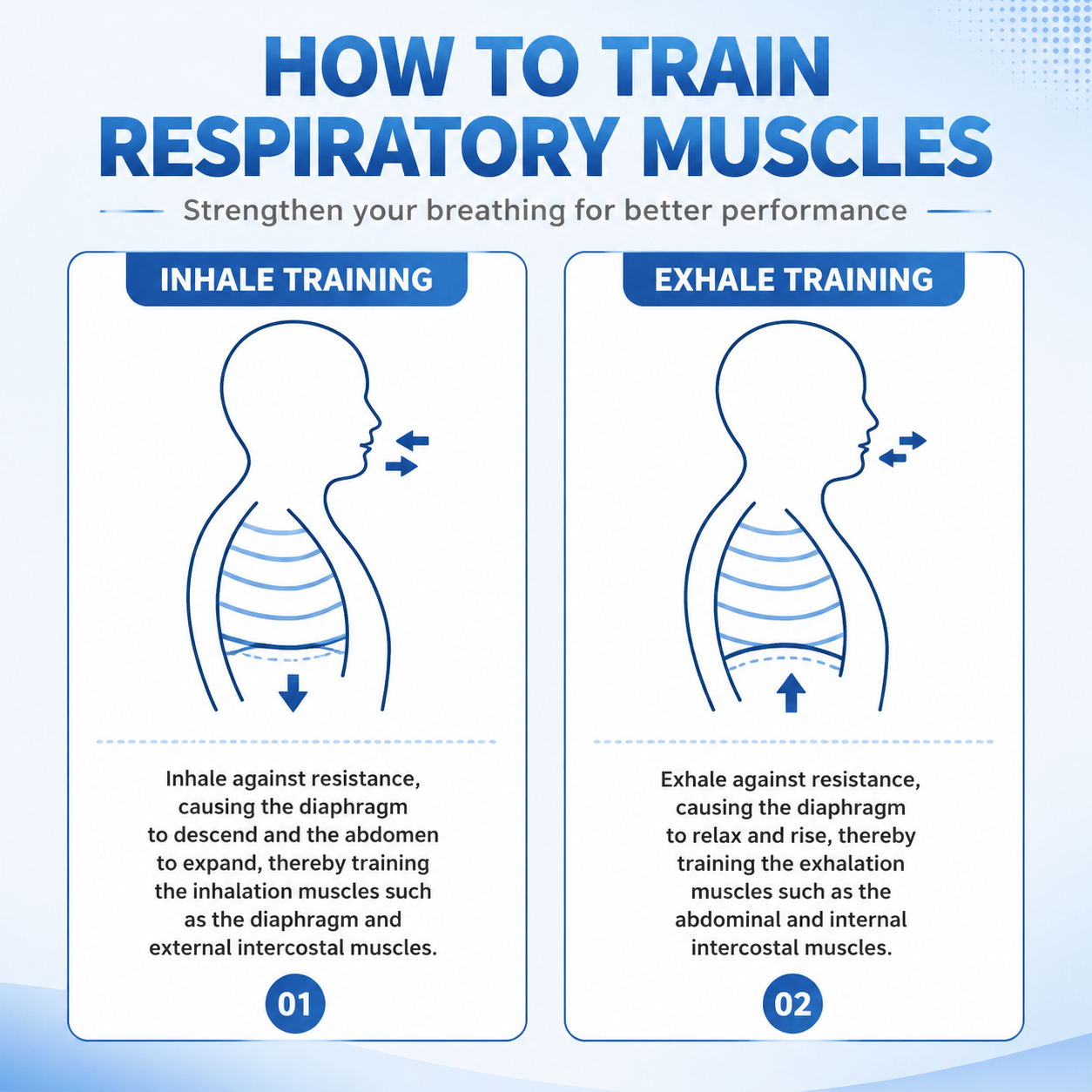 Lung Flexer Portable Lightweight Breathing Exercise pour les athlètes-Professional Respiration