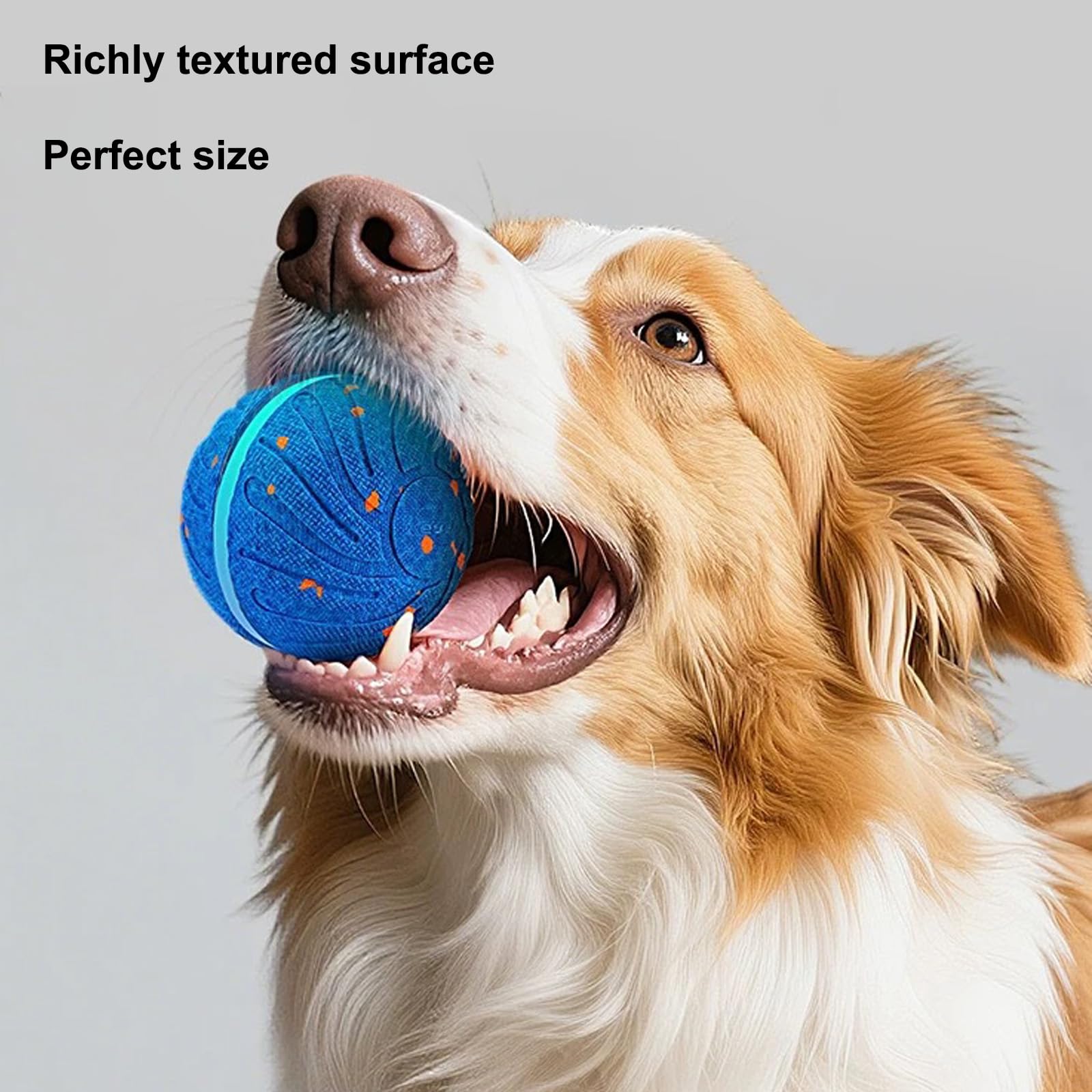 Balle interactive de jouets pour chiens