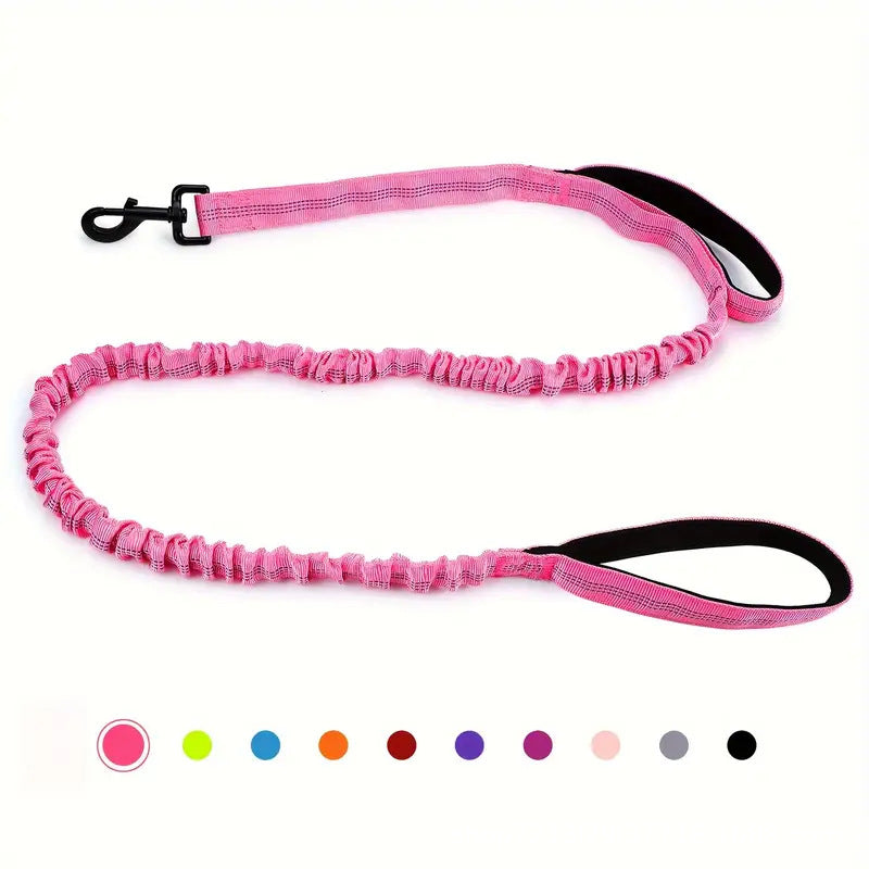Feuille de chien multifonctionnelle pour les grandes races Anti-pull