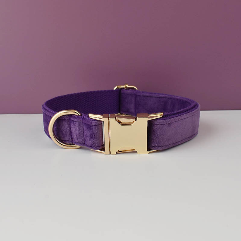 Collier de chien en peluche et fournitures pour animaux de compagnie en laisse