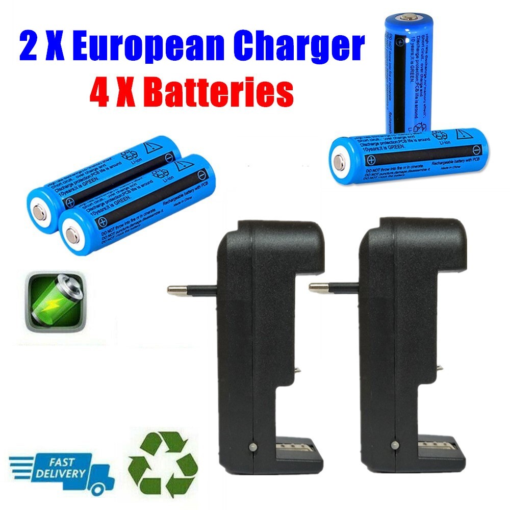 Chargeur de batterie avec batteries Li-ion 18650 3.7V 3000 mAh