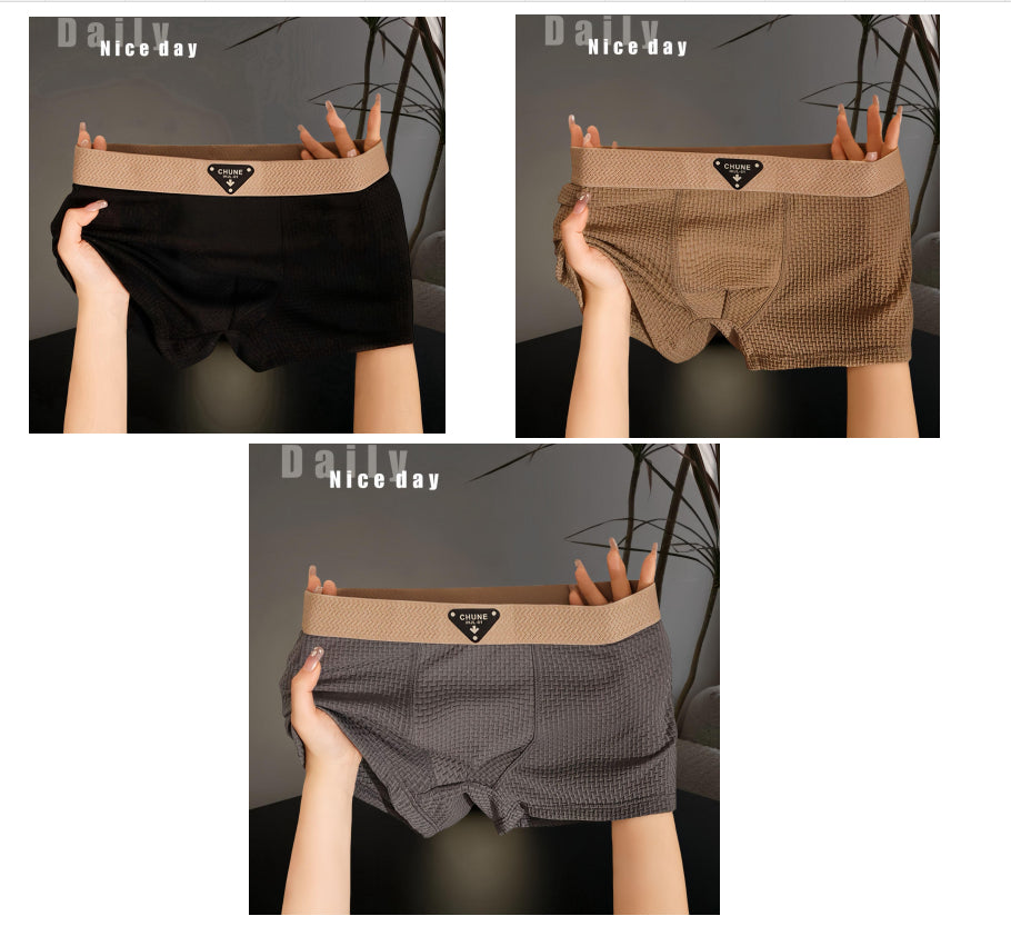 Sous-vêtements en soie de glace pour hommes Fashion Sport Boxer