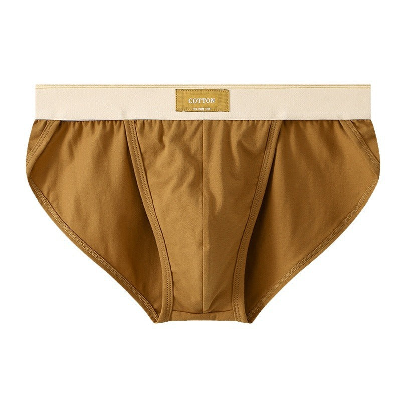 Slips en coton couleur solide pour hommes