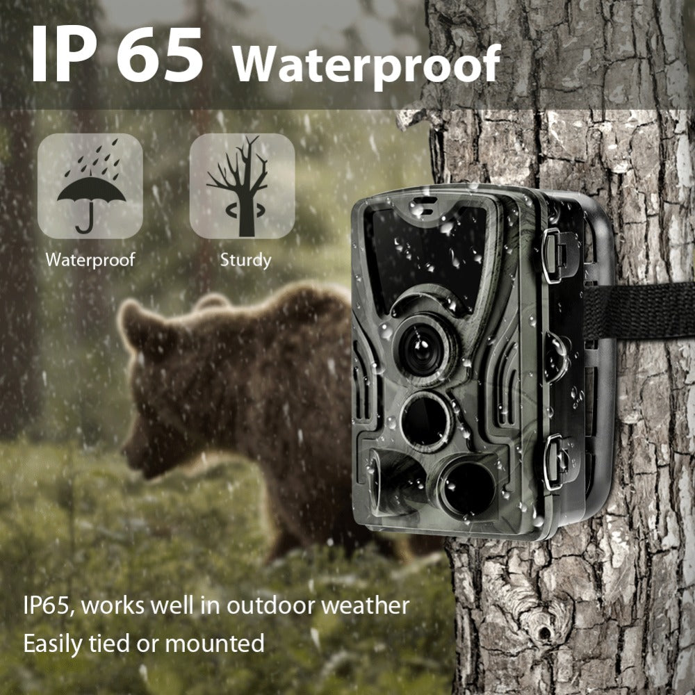 HC801A Caméra de chasse