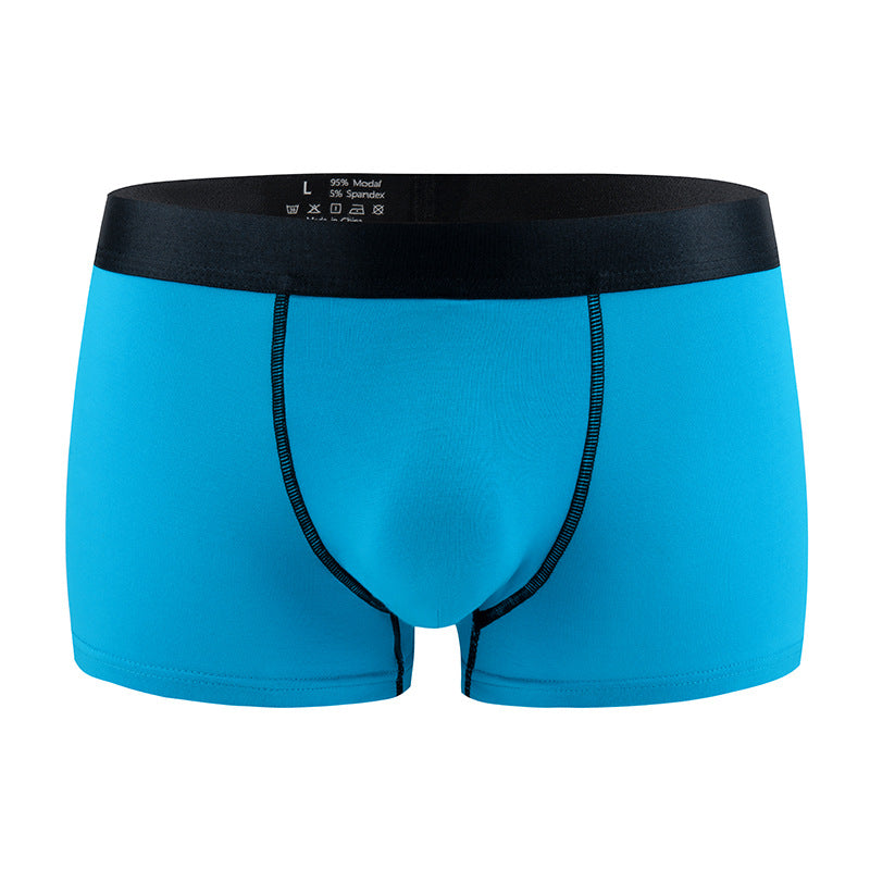 Standard Hommes Sous-vêtements sexy Modal Low-rise