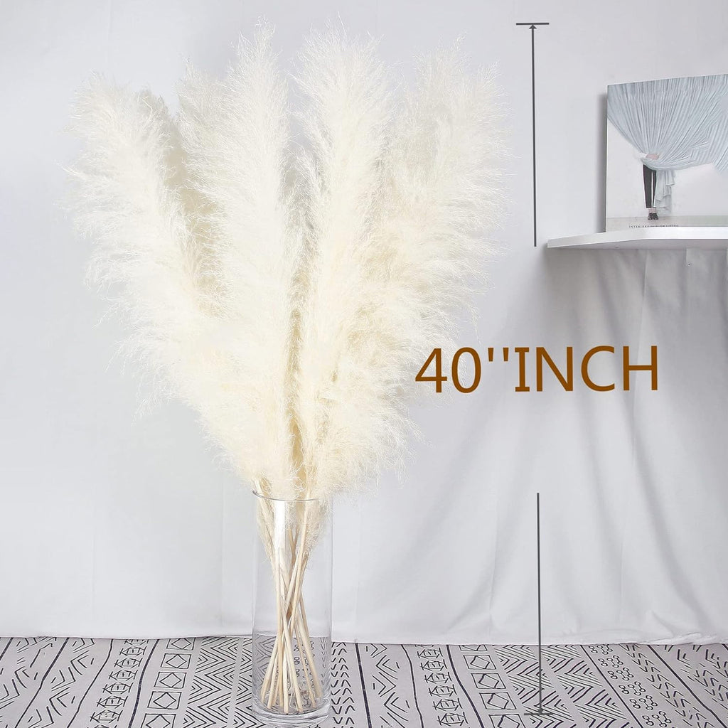 20 Pampas beige décor d'herbe