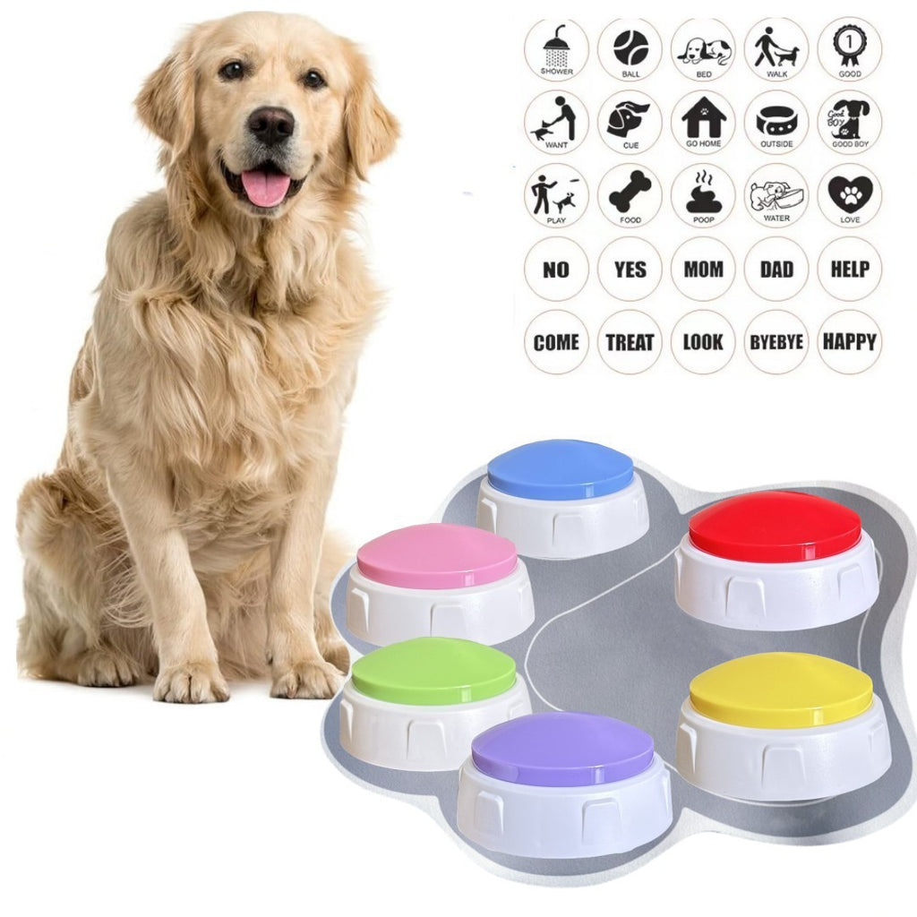 Entraîneur à boutonnet pour jouets rechargeables à usage domestique