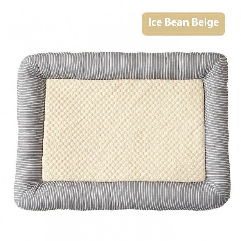 Chien de soie de glace de chat cool