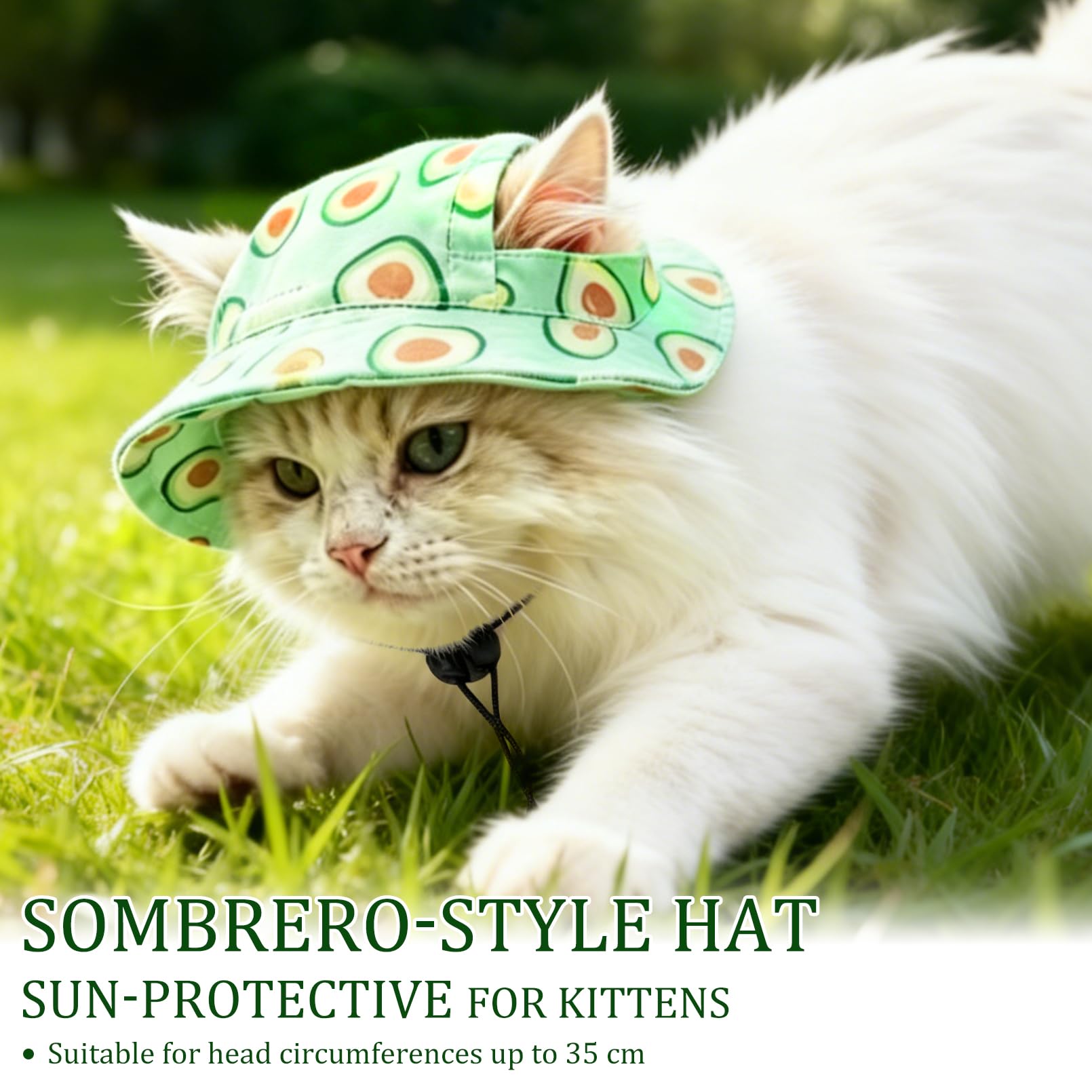Chapeaux pour chats seulement