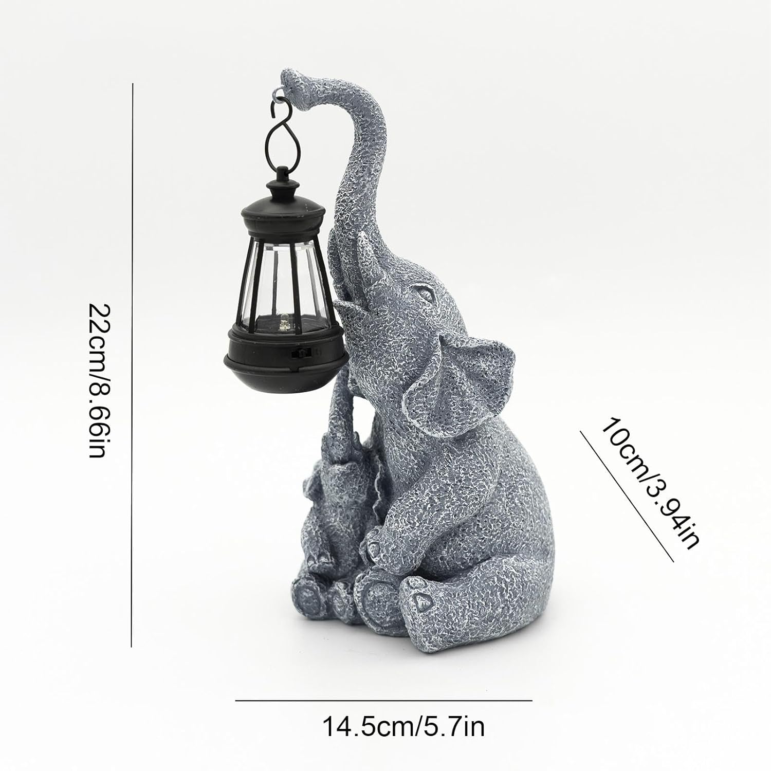 Lumière solaire éléphant