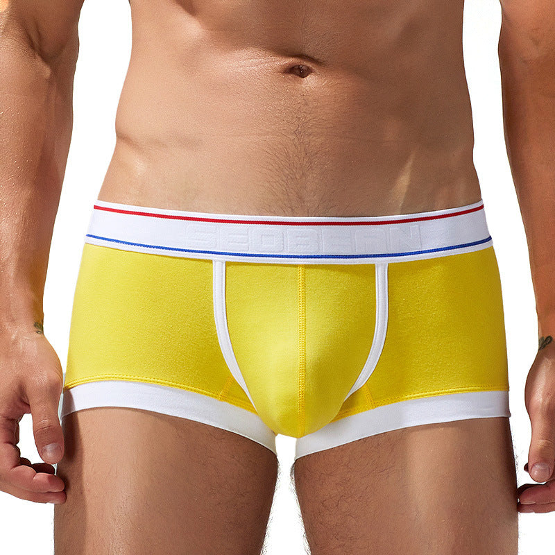 Sous-vêtements Cotton Boxer Youth Low Waist Panties Boxers pour hommes