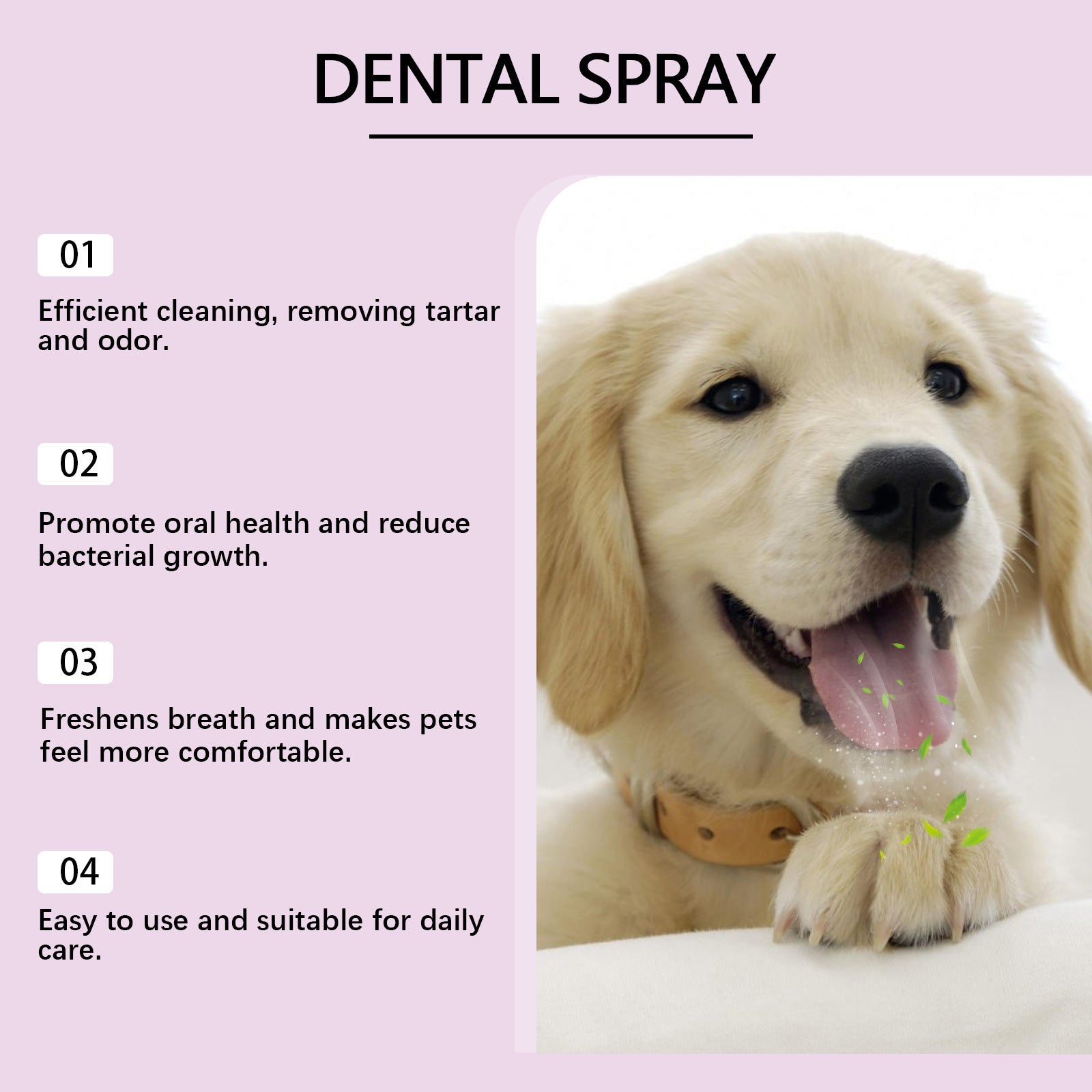 Spray de soins dentaires pour animaux - Solution de nettoyage des dents pour chiens et chats
