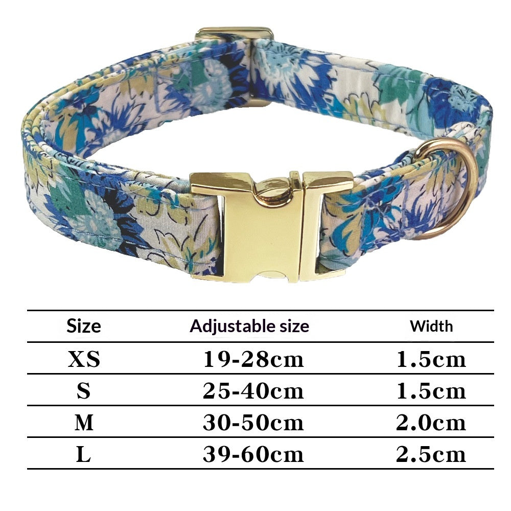 Collier gravé sur chien