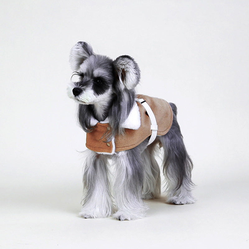 Manteau de style britannique pour chiens