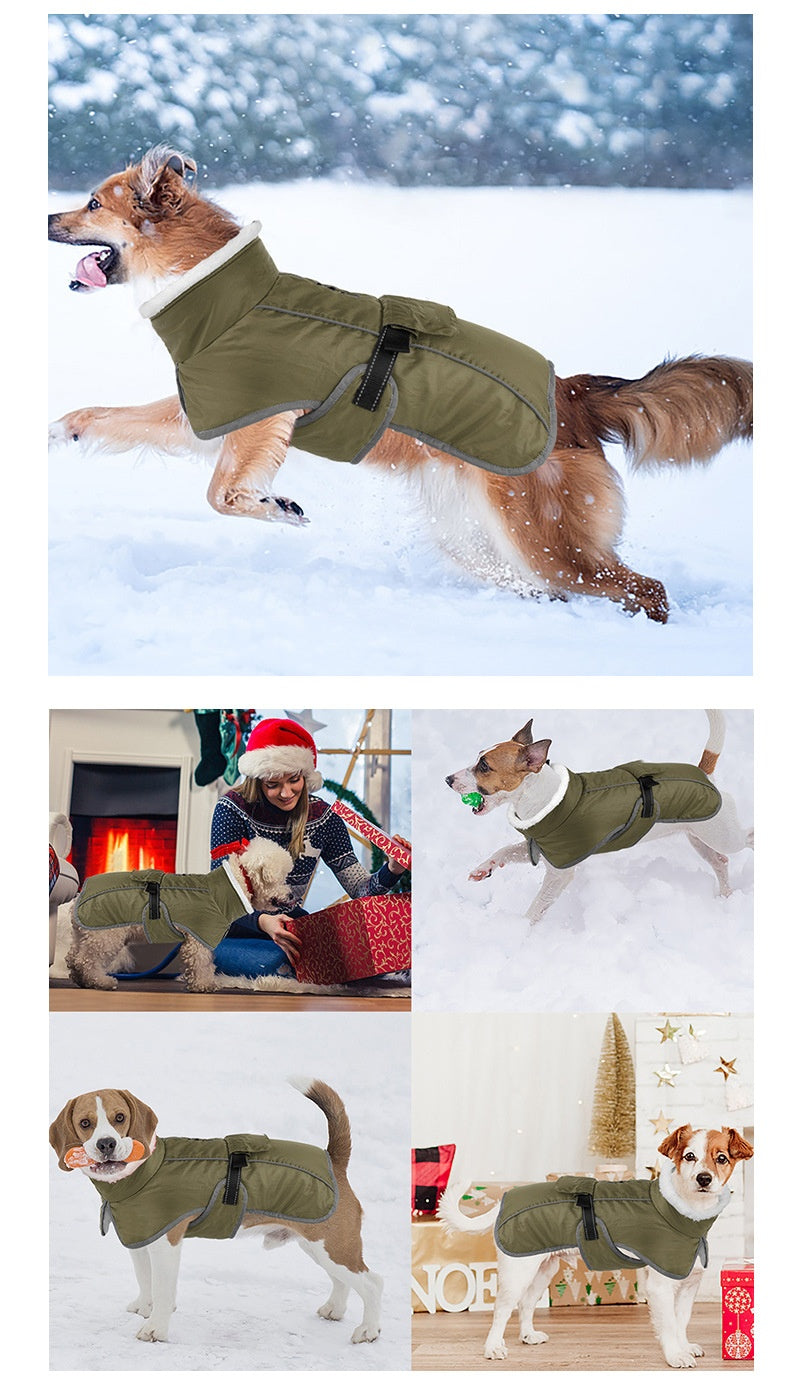 Animaux de compagnie Coton rembourré Coat Hiver Grand chien Golden Retriever Jarre Aero Bull Corgi Puppy Cloth