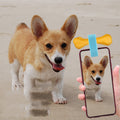 Objectif de la caméra de selfie pour animaux de compagnie
