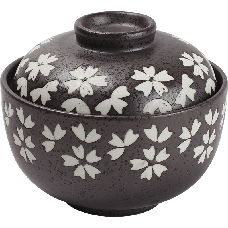 Bol de riz en céramique japonaise avec coupe de préservation de lard