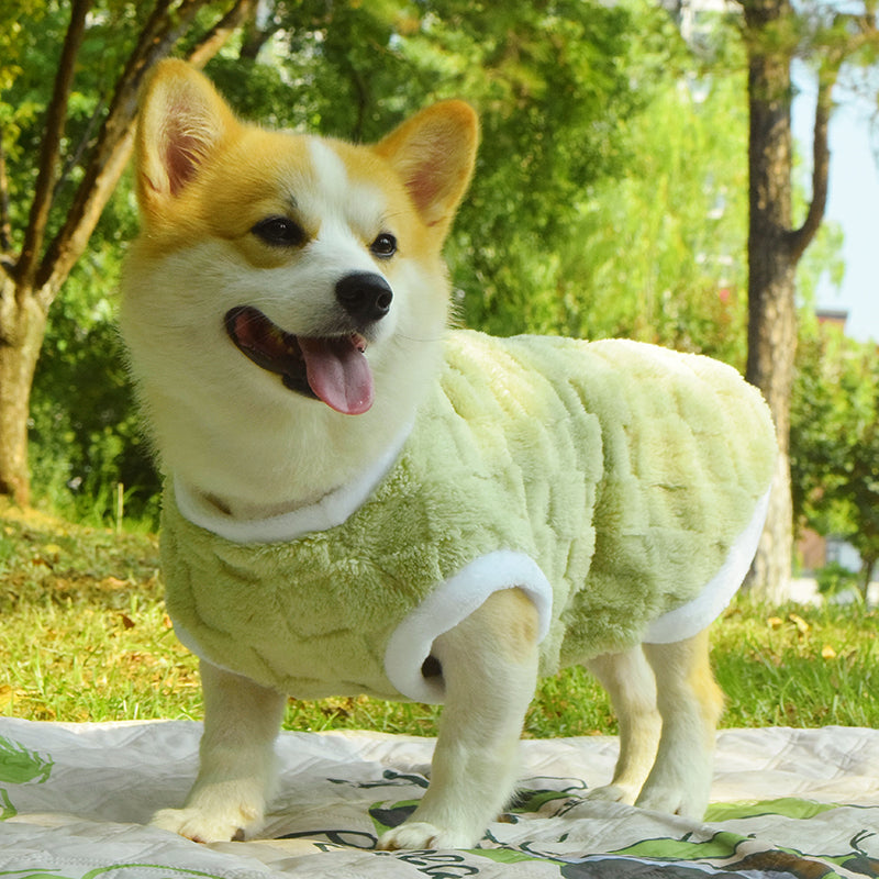 Vêtements de chien Automne et hiver Veste rembourrée anti-dorteuse de taille moyenne
