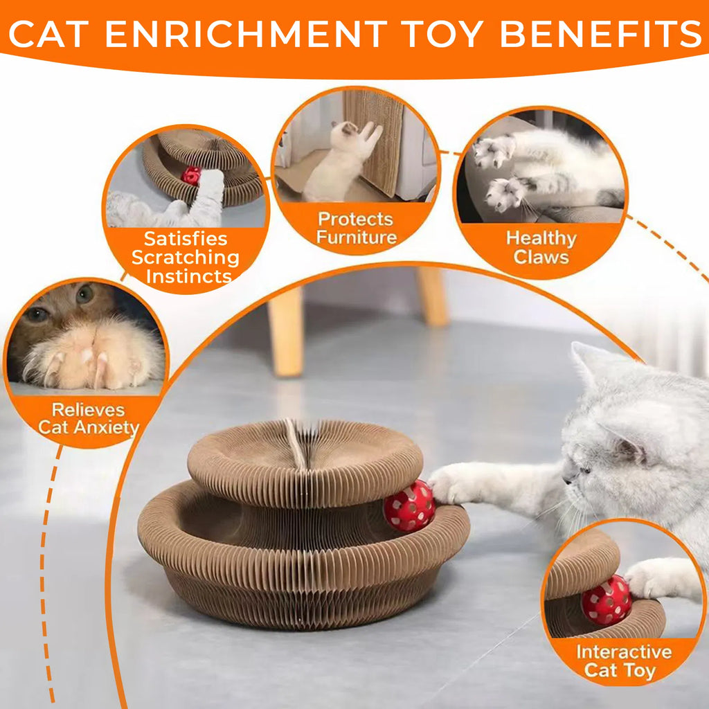 Jouet chat Kitty Curls - Foldable Accordéon Cat Scratcher withBall - Magic Organ Cat Scratch