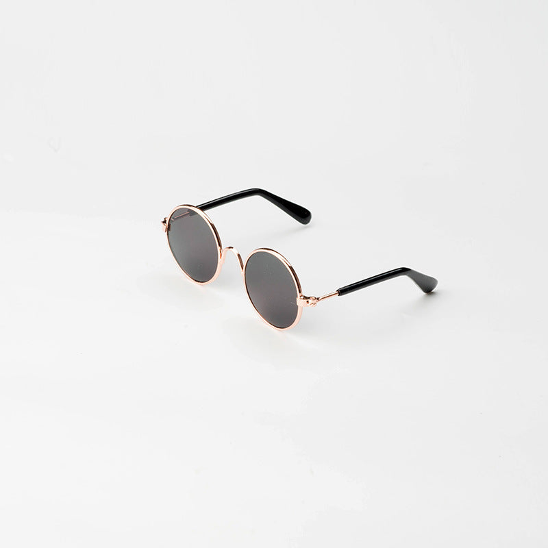 Lunettes de soleil pour chats