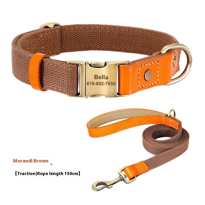 Rope de traction du collier de petit chien