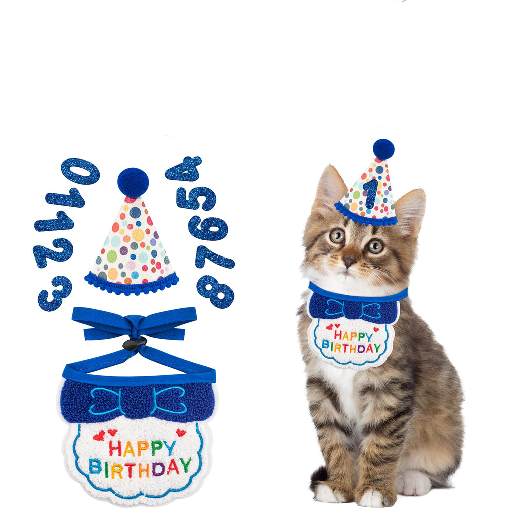 Fournitures pour fête d'anniversaire de chat