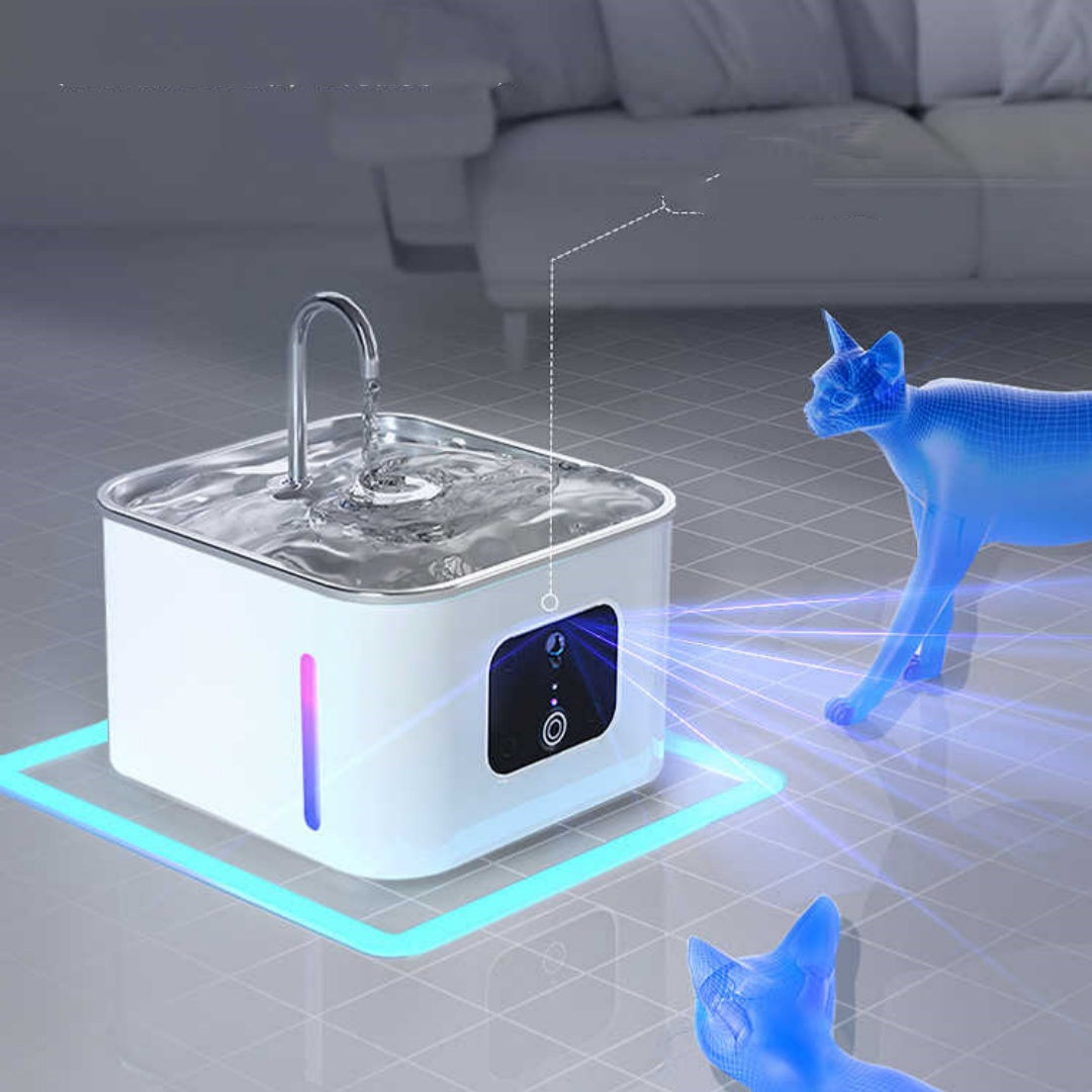 Feeder automatique pour chats animaux