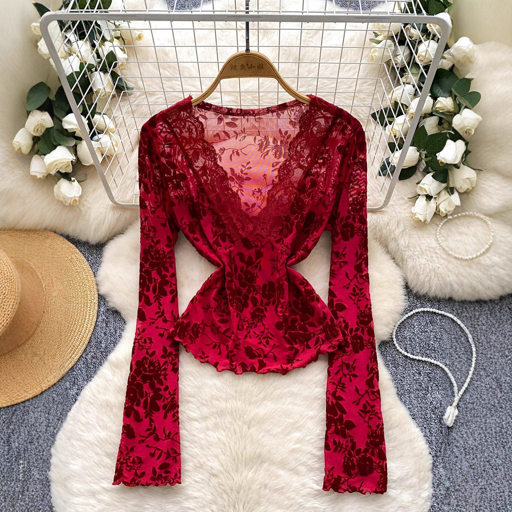 Lace mesh with long sleeves