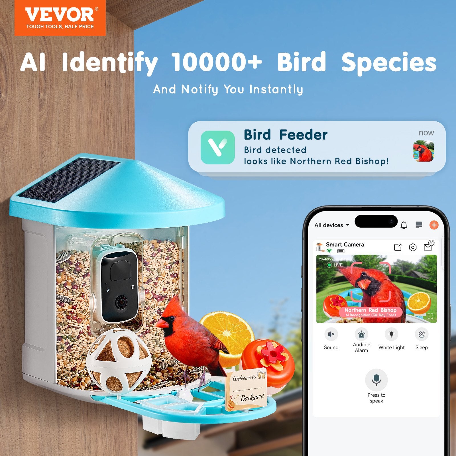 Alimentation intelligente d'oiseaux avec caméra 2K HD AI Identifier les espèces d'oiseaux solaire