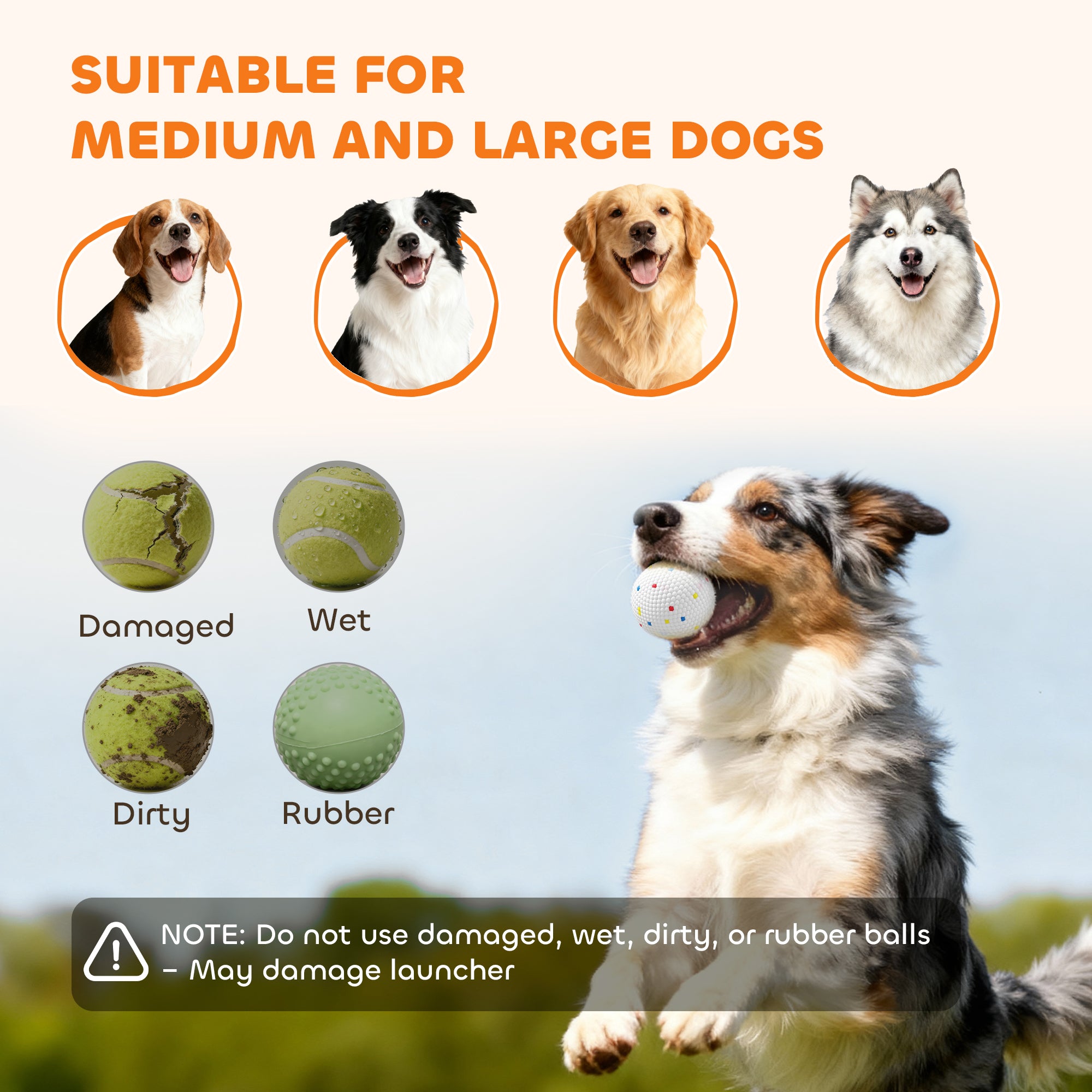 Lance-balles de chien automatique avec distance 26-80 FT