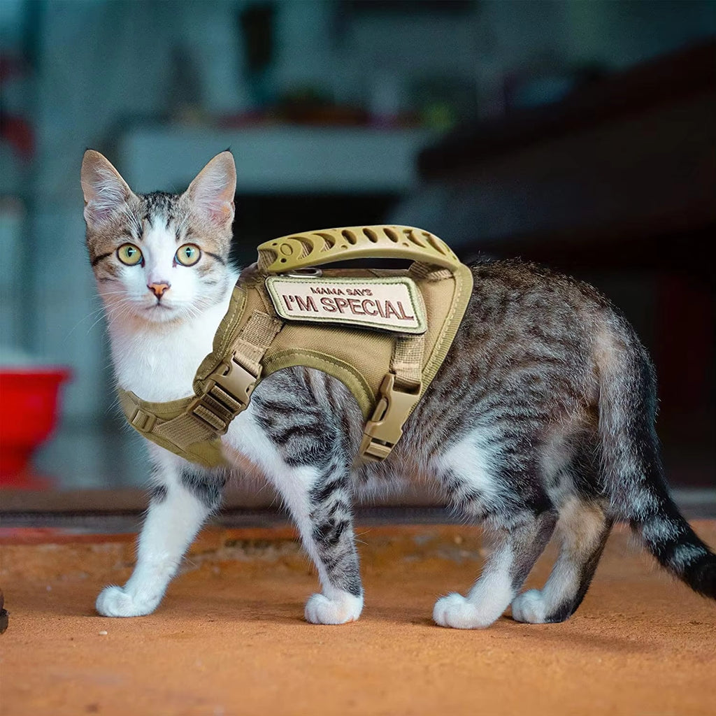 Animaux de compagnie Velcro Harness Vest style