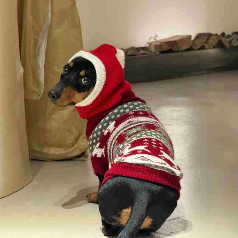 Chapeau Dachshund pour robe de Noël