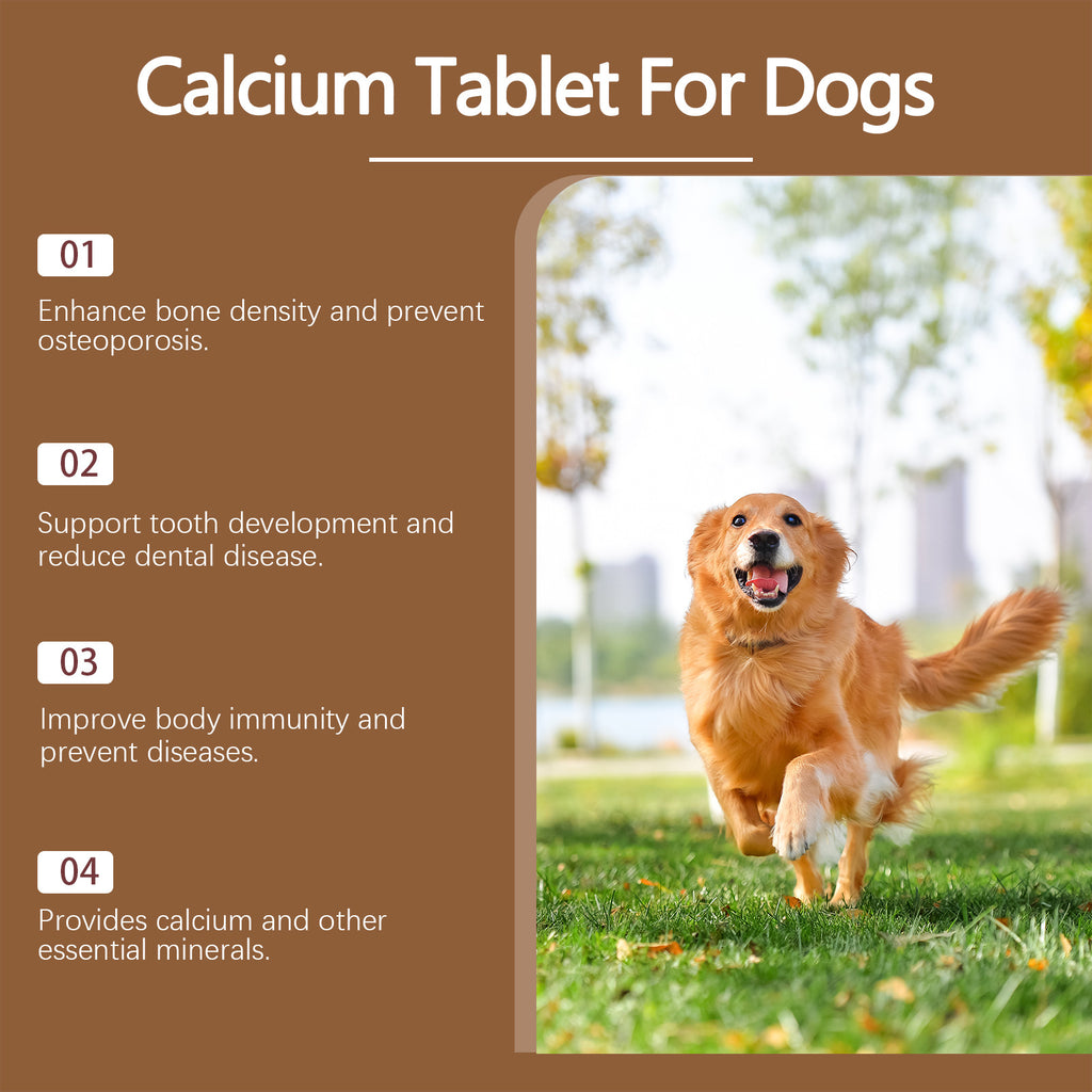 Supplément de vitamine pour animaux de compagnie pour une alimentation nutritive saine comprimés de calcium