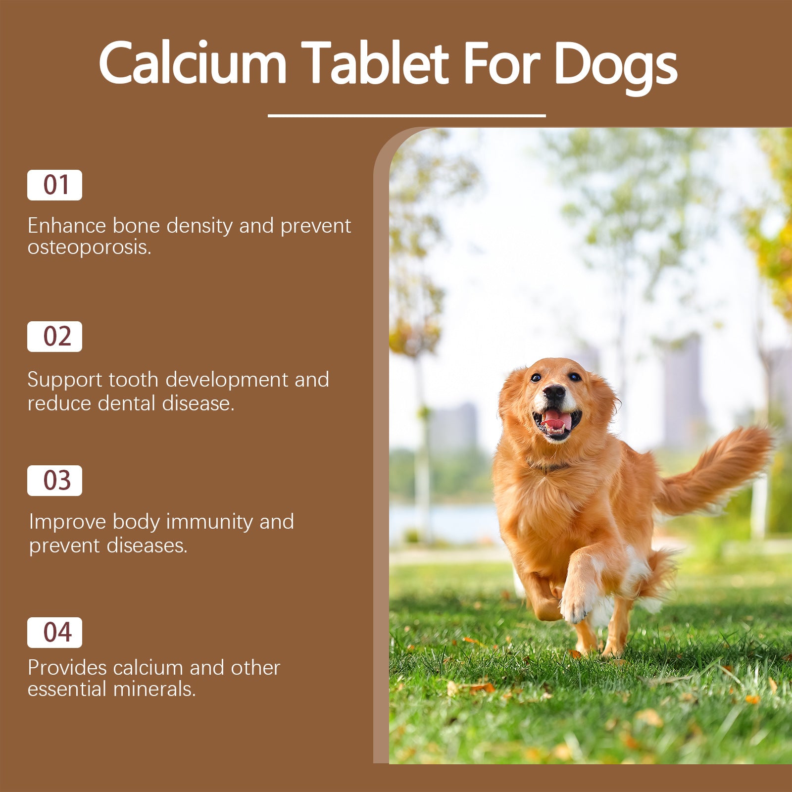 Supplément de vitamine pour animaux de compagnie pour une alimentation nutritive saine comprimés de calcium