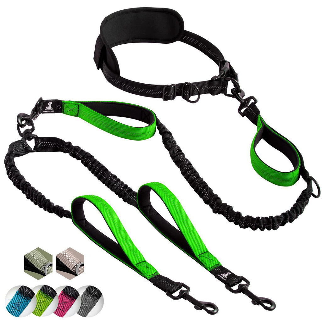 Amazon Pet Supplies Multifonctionnel Leash Sport Fitness Running Leash Dog Leas