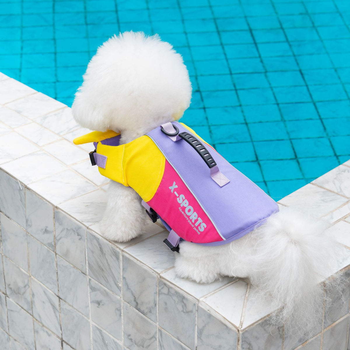 Veste de vie pour animaux Veste de vie pour chiens
